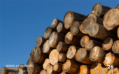 26-mercati-conifere(0)