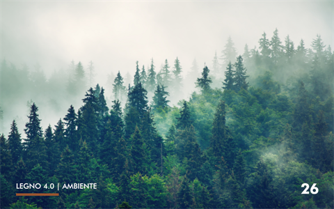 26-ambiente-foreste(0)