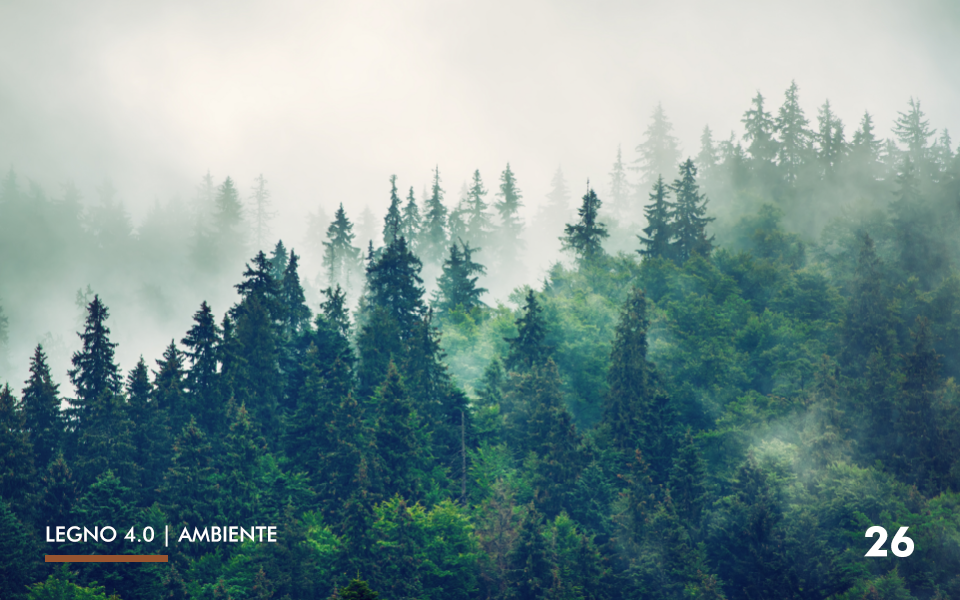 26-ambiente-foreste