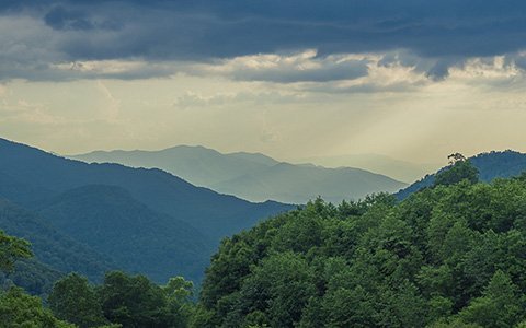 480x300_legno_locale