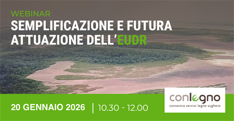 WEBINAR-LEGNOK-20GEN2026-IN82-copia-2(0)