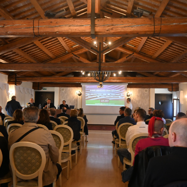 Conlegno Roadmap 2025 - Mogliano Veneto (TV)(0)